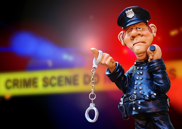クレイジージャーニー ヨシダナギは逮捕歴あり?