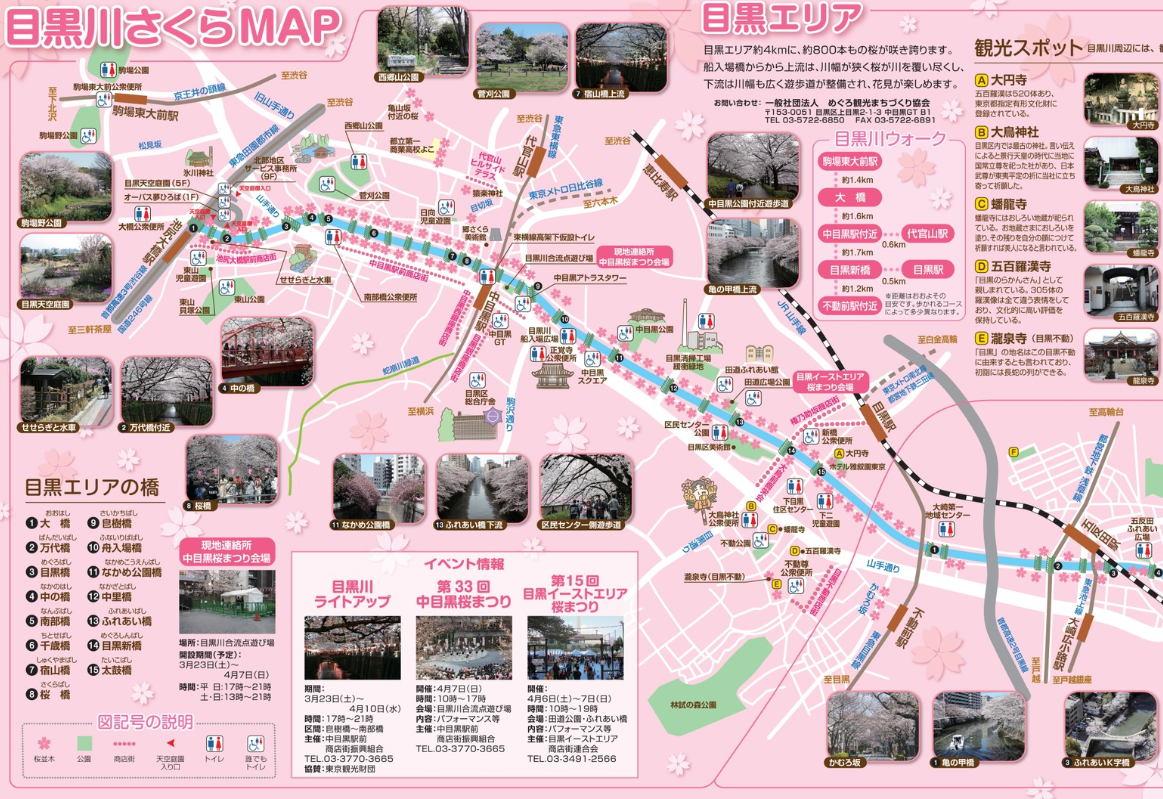 目黒川の桜 地図やマップ おすすめのコースをご紹介 まるぶろ