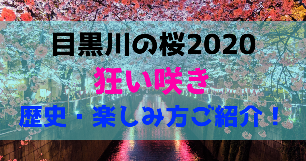 目黒川の桜2020!狂い咲きはいつ?桜の歴史や楽しみ方をご紹介!