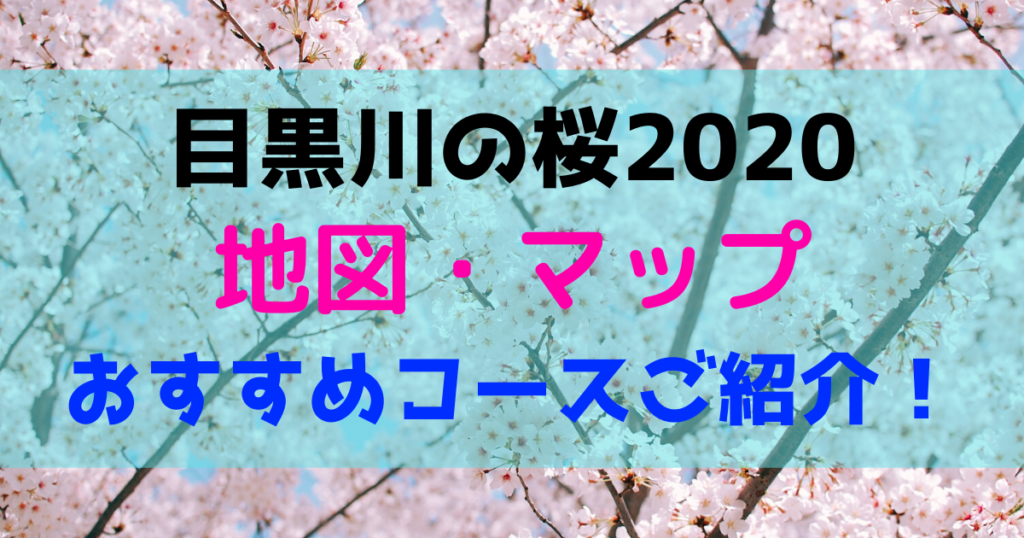 目黒川の桜2020!地図やマップ・おすすめのコースをご紹介!