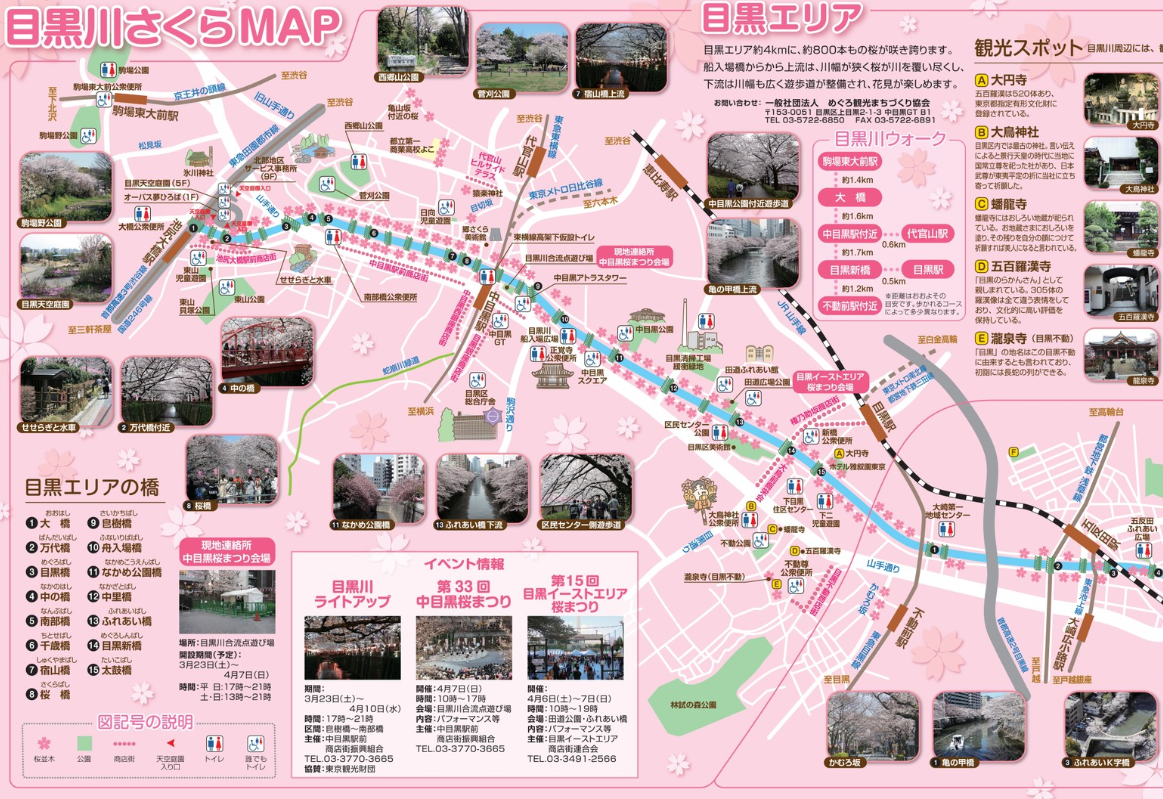 目黒川桜2020マップ